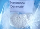 Hormone crue de Deca Durabolin saupoudrer le Nandrolone pharmaceutique Decanoate CAS 360-70-3 de Deca