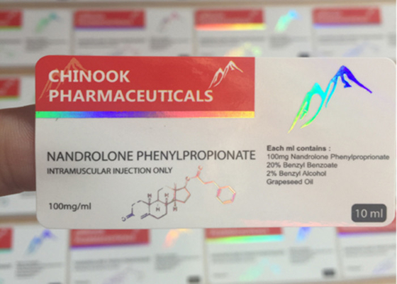 Autocollants adhésifs faits sur commande olographes de papier 6 x 3 cm avec le coin rond