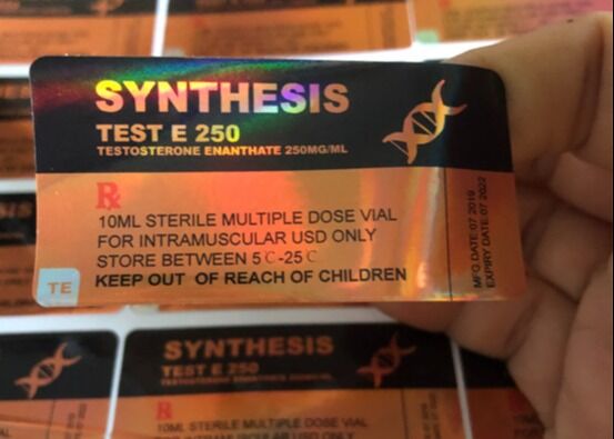 Synthèse Test Anabolisants Enanthate 250mg 10ml Vial Labels
